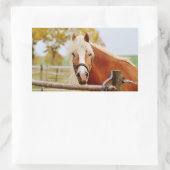 Sticker Rectangulaire Cheval À La Porte (Sac)