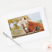 Sticker Rectangulaire Cheval À La Porte (Enveloppe)
