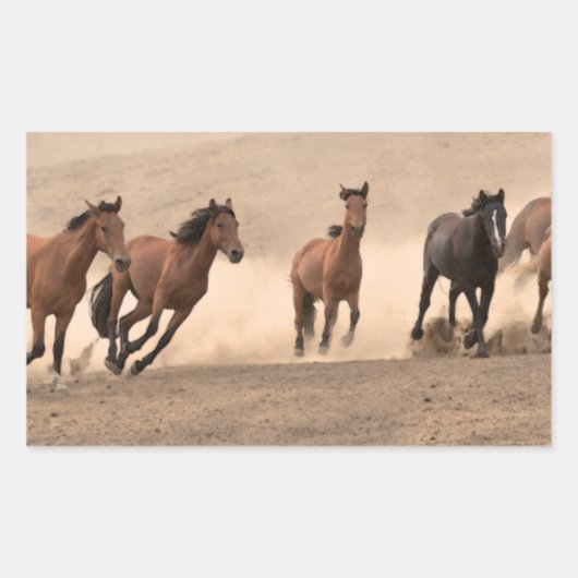 Sticker Rectangulaire Cheval À L'Automne II (Devant)