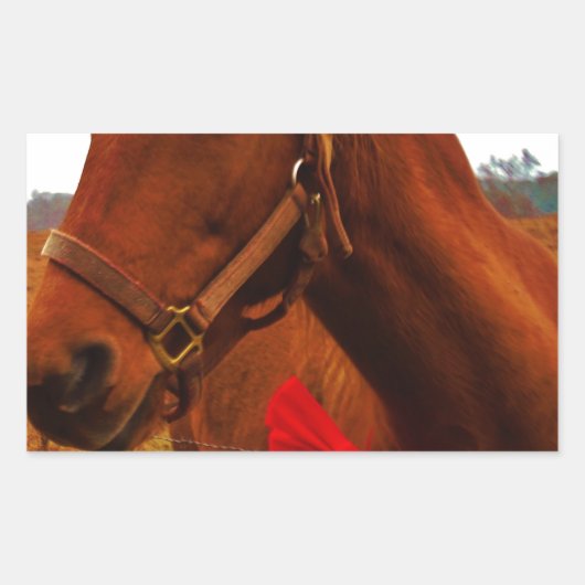 Sticker Rectangulaire Cheval avec Bow rouge (Devant)