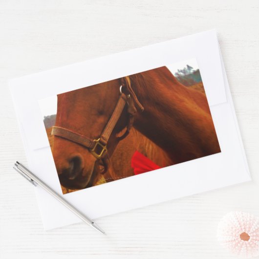 Sticker Rectangulaire Cheval avec Bow rouge (Enveloppe)