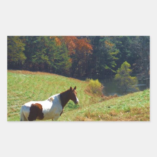 Sticker Rectangulaire Cheval blanc et Brown, étang d'automne (Devant)