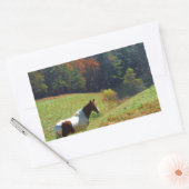 Sticker Rectangulaire Cheval blanc et Brown, étang d'automne (Enveloppe)