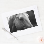 Sticker Rectangulaire Cheval blanc noir (Enveloppe)