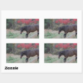 Sticker Rectangulaire Cheval Brown dans les arbres d'automne rouges (Feuille)
