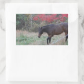 Sticker Rectangulaire Cheval Brown dans les arbres d'automne rouges (Sac)
