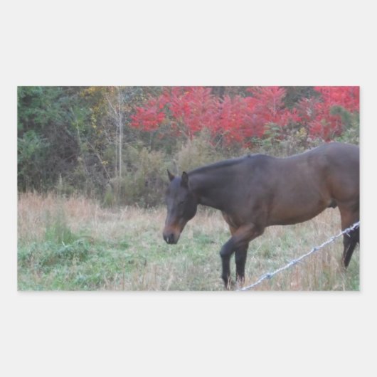 Sticker Rectangulaire Cheval Brown dans les arbres d'automne rouges (Devant)