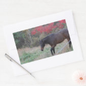Sticker Rectangulaire Cheval Brown dans les arbres d'automne rouges (Enveloppe)