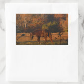 Sticker Rectangulaire Cheval Brown rouge, bois d'automne. (Sac)