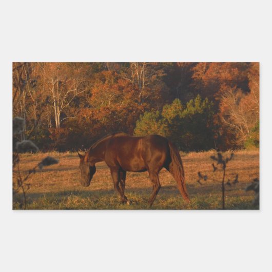 Sticker Rectangulaire Cheval Brown rouge, bois d'automne. (Devant)