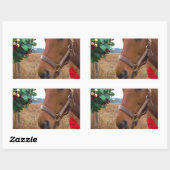 Sticker Rectangulaire Cheval de baiser sous Mistletoe (Feuille)