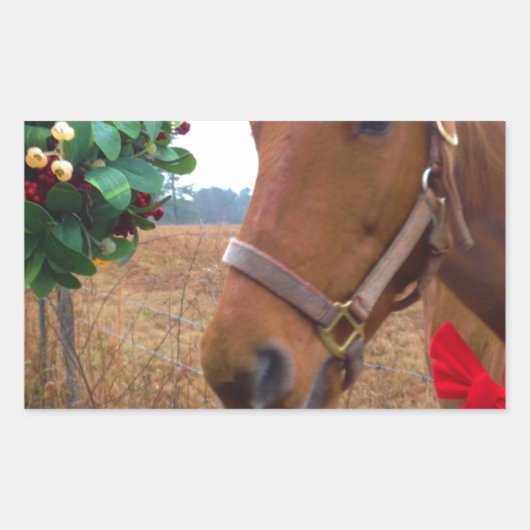 Sticker Rectangulaire Cheval de baiser sous Mistletoe (Devant)
