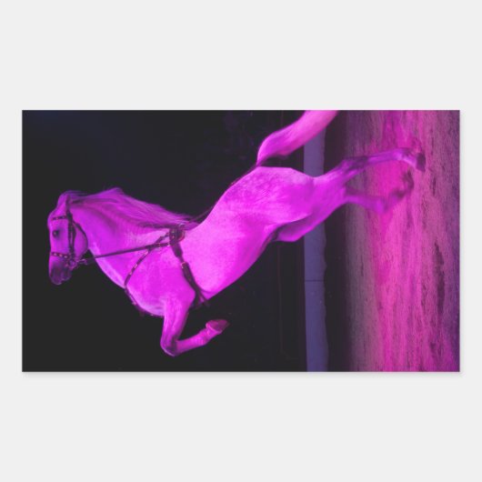 Sticker Rectangulaire Cheval de cirque rose (Devant)
