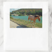 Sticker Rectangulaire Cheval de Sicile (Sac)