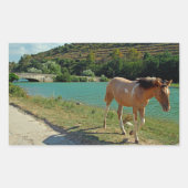 Sticker Rectangulaire Cheval de Sicile (Devant)