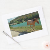 Sticker Rectangulaire Cheval de Sicile (Enveloppe)