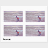Sticker Rectangulaire Cheval du désert P8640 (Feuille)