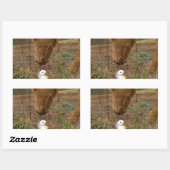 Sticker Rectangulaire cheval et fleur de printemps Bunny (Feuille)