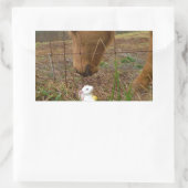 Sticker Rectangulaire cheval et fleur de printemps Bunny (Sac)