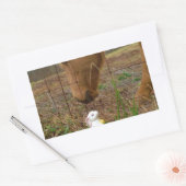 Sticker Rectangulaire cheval et fleur de printemps Bunny (Enveloppe)