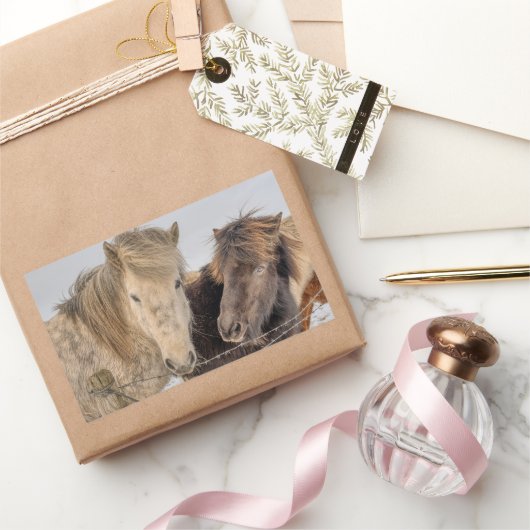 Sticker Rectangulaire Cheval islandais adorable (Cadeaux)