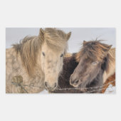 Sticker Rectangulaire Cheval islandais adorable (Devant)