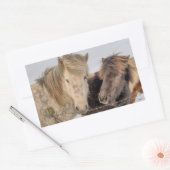 Sticker Rectangulaire Cheval islandais adorable (Enveloppe)