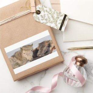 Sticker Rectangulaire Cheval islandais adorable