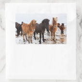 Sticker Rectangulaire Cheval islandais en hiver en Islande (Sac)