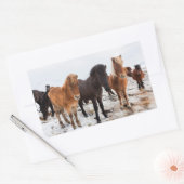 Sticker Rectangulaire Cheval islandais en hiver en Islande (Enveloppe)