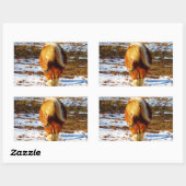Sticker Rectangulaire Cheval miniature Brown et crème dans la neige. (Feuille)
