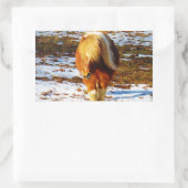 Sticker Rectangulaire Cheval miniature Brown et crème dans la neige. (Sac)