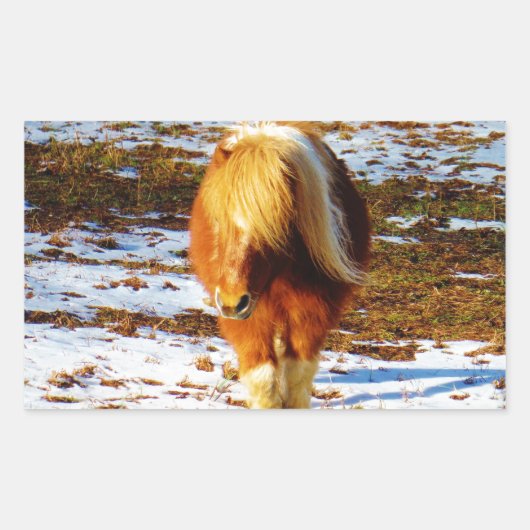Sticker Rectangulaire Cheval miniature Brown et crème dans la neige. (Devant)