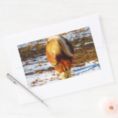 Sticker Rectangulaire Cheval miniature Brown et crème dans la neige. (Enveloppe)