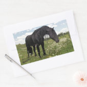Sticker Rectangulaire Cheval noir (Enveloppe)