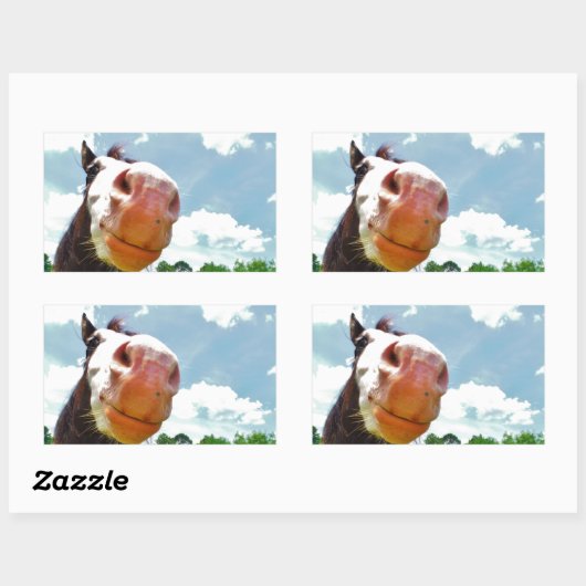 Sticker Rectangulaire Cheval souriant (Feuille)