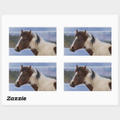 Sticker Rectangulaire Cheval Tri Coloré (Feuille)