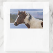 Sticker Rectangulaire Cheval Tri Coloré (Sac)