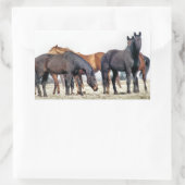 STICKER RECTANGULAIRE CHEVAUX (Sac)