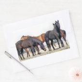 STICKER RECTANGULAIRE CHEVAUX (Enveloppe)
