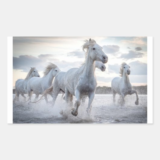 Sticker Rectangulaire Chevaux blancs (Devant)