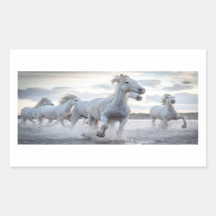 Sticker Rectangulaire Chevaux blancs