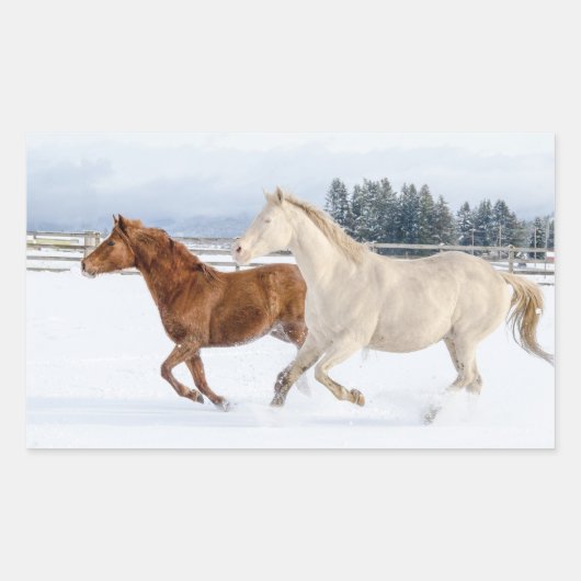 STICKER RECTANGULAIRE CHEVAUX ENSEMBLE (Devant)