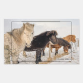 Sticker Rectangulaire Chevaux islandais (Devant)