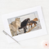 Sticker Rectangulaire Chevaux islandais (Enveloppe)