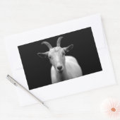 Sticker Rectangulaire Chèvre (Enveloppe)