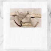 Sticker Rectangulaire Chèvres en train de se battre (Sac)