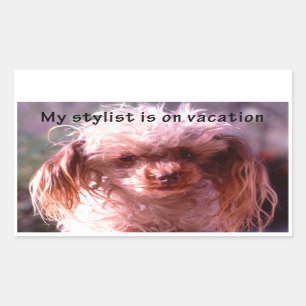 Sticker Rectangulaire Chien à cheveux shaggy