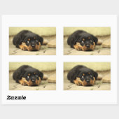 Sticker Rectangulaire Chien à chiot (Feuille)