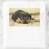 Sticker Rectangulaire Chien à chiot (Sac)